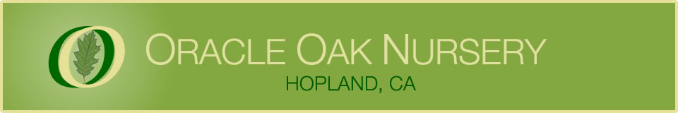 Oracle Oak Nursery - Official Site